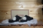 Preview: Tofee Damenhausschuhe Pantoffel Latschen Socken Anthrazit Pferd