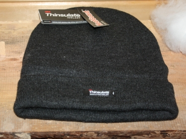 Heatguard Winter Cap Thinsulate 40g grey